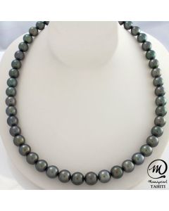 Tahitian Pearl Necklace Choker