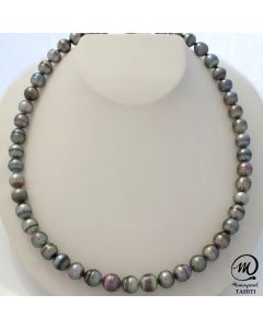 Tahitian Pearl Choker