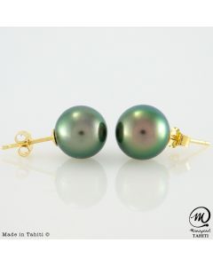 Gold Tahitian Pearl Earrings