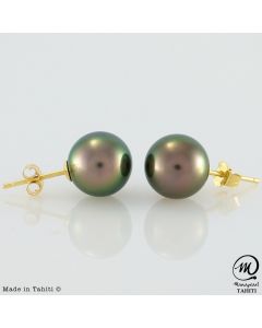 Gold Tahitian Pearl Earrings