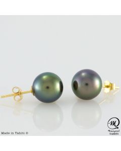 Gold Tahitian Pearl Earrings