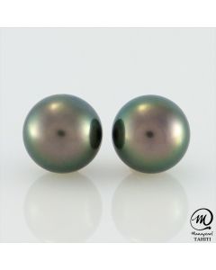 Silver Tahitian Pearl Earring