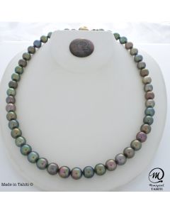 Tahitian Pearl Choker