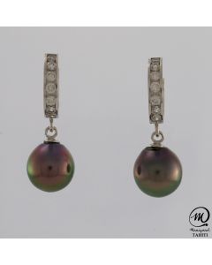 Tahitian Pearl Earrings