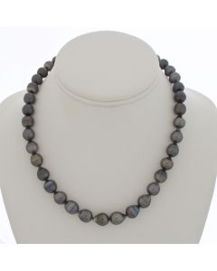 Tahitian Pearl Chocker