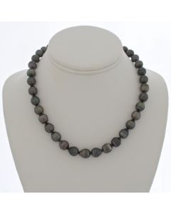 Tahitian Pearl Chocker