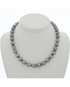 Tahitian Pearl Necklace