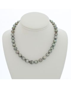 Tahitian Pearl Chocker