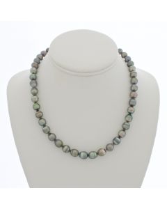 Tahitian Pearl Chocker