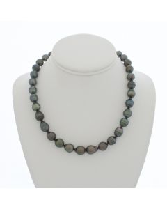 Tahitian Pearl Chocker