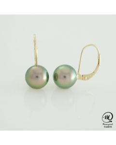 18K Yellow Gold Tahitian Pearl Earrings