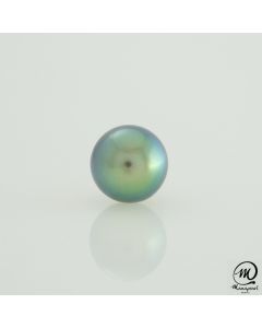 18K Yellow Gold Tahitian Pearl Earrings