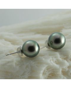Gold Tahitian Pearl Earrings, 9 mm round pearls