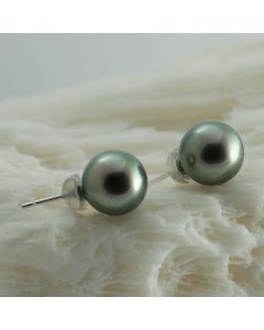 Gold Tahitian Pearl Earrings, 9 mm round pearls